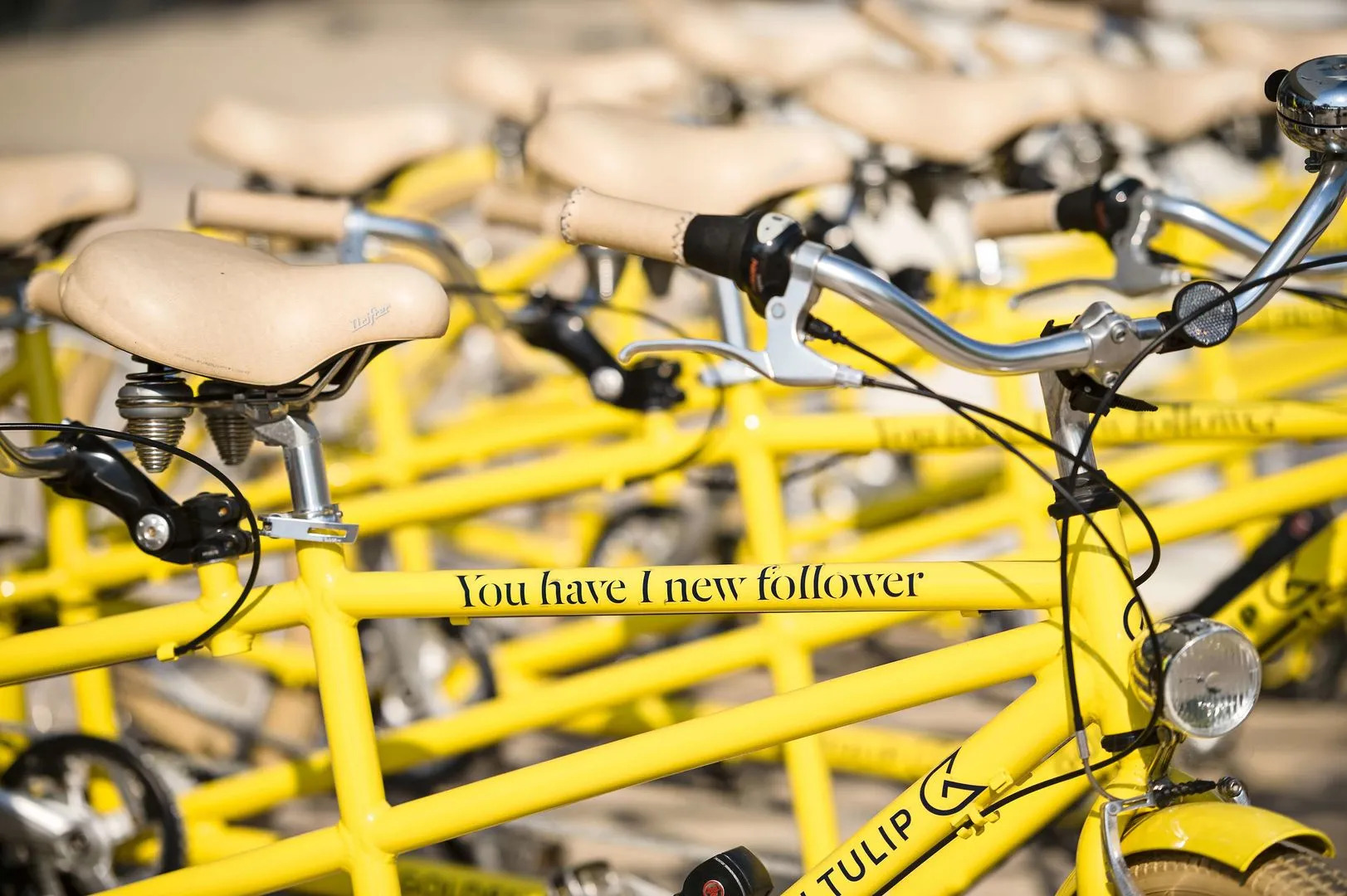 Foto - Radisson Hotel Aix En Provence