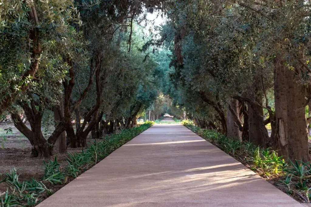 Foto - The Oberoi Marrakech