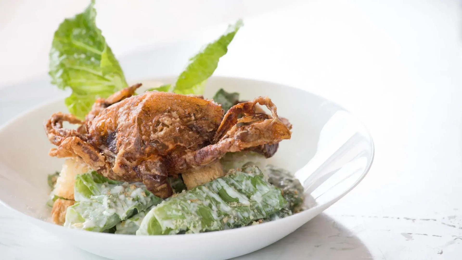 Foto - The Rodman Hotel