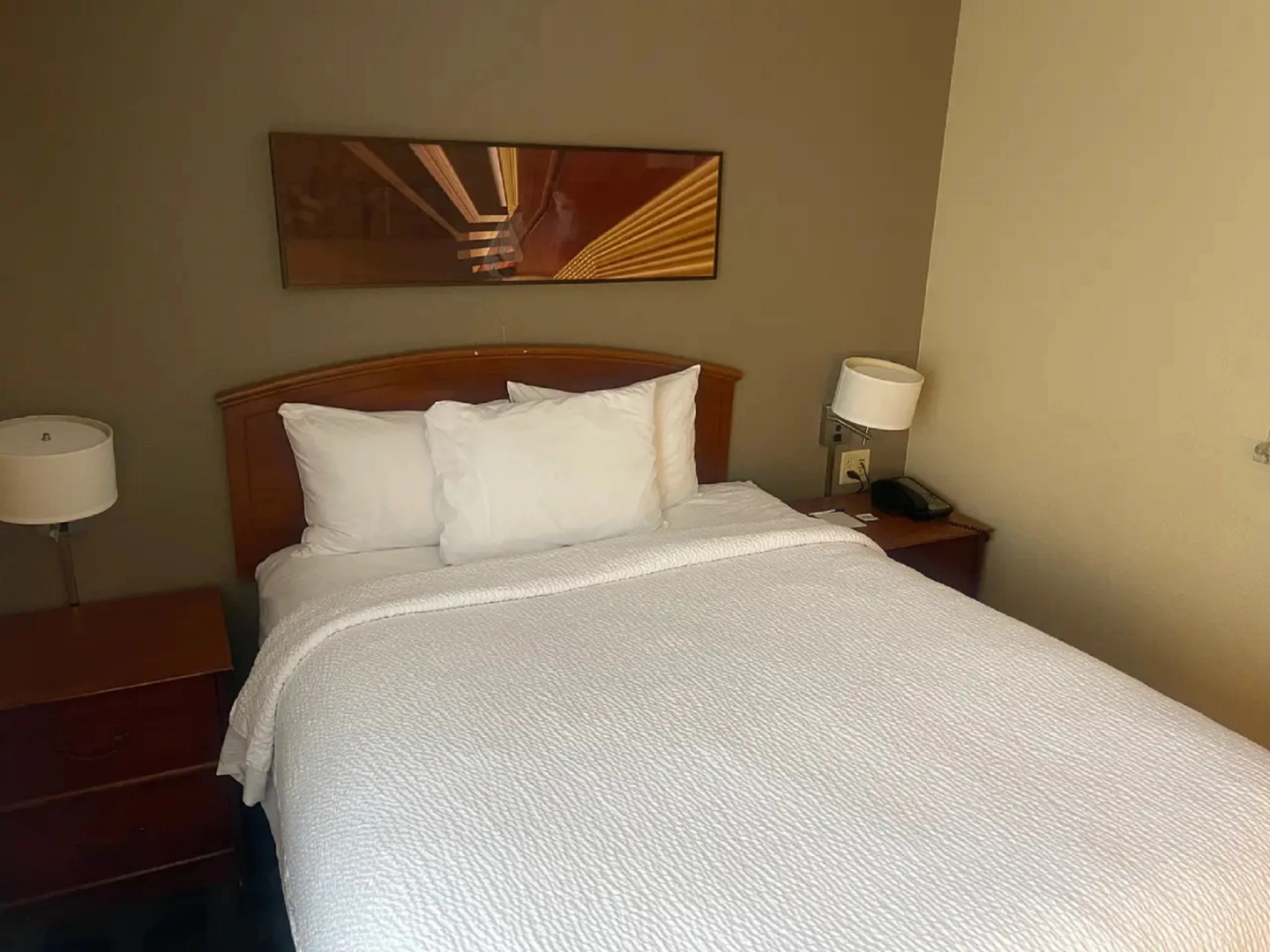 Photo - MainStay Suites Tampa Moffitt-USF