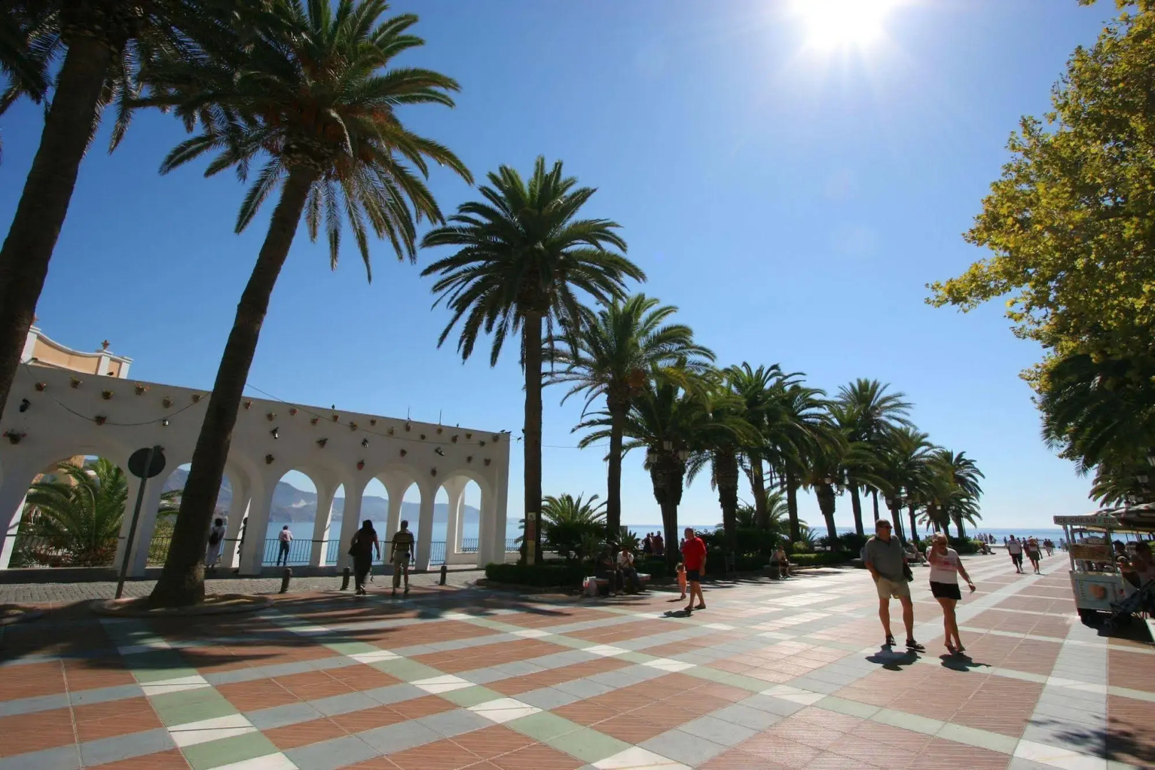 Foto - Hotel Plaza Cavana