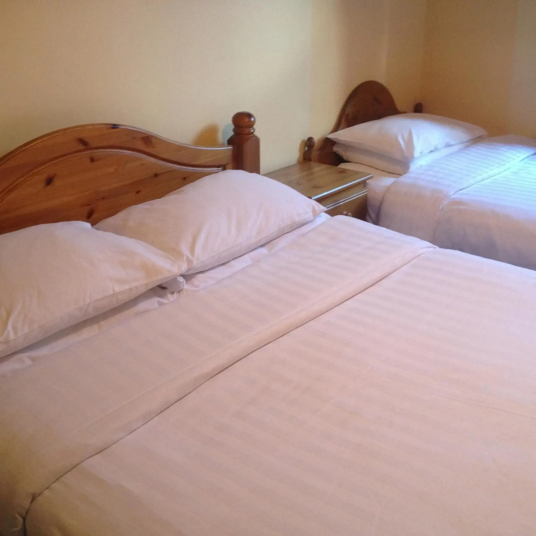 Photo - Twin Lions Hotel