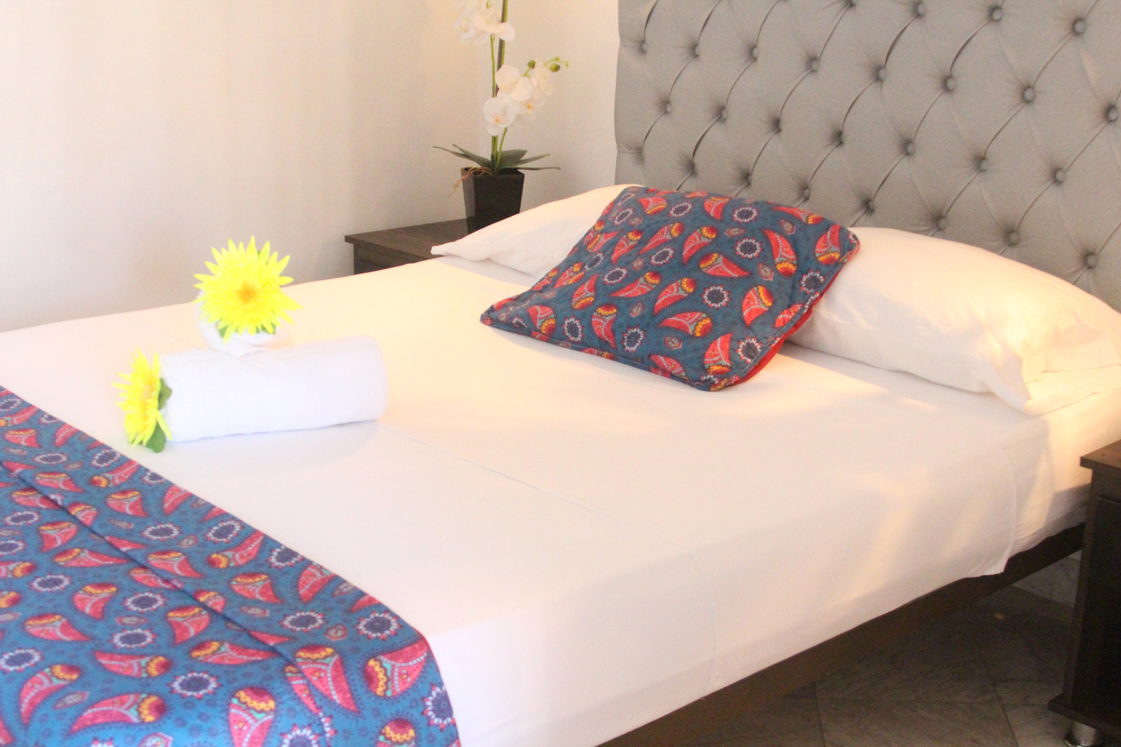 Foto - Hotel Rodadero Dorado