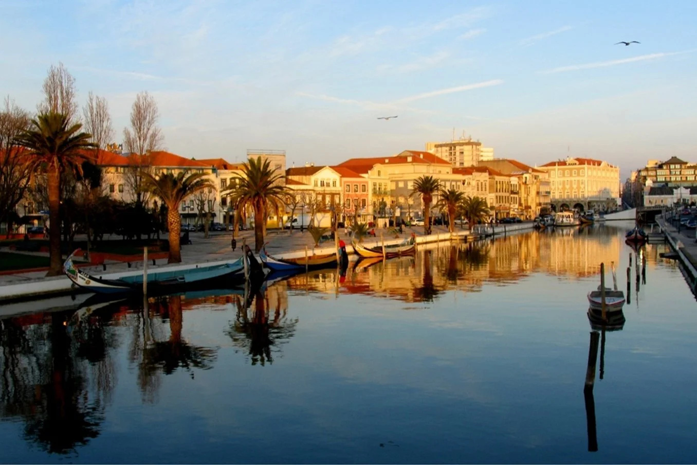 Foto - Hotel Moliceiro
