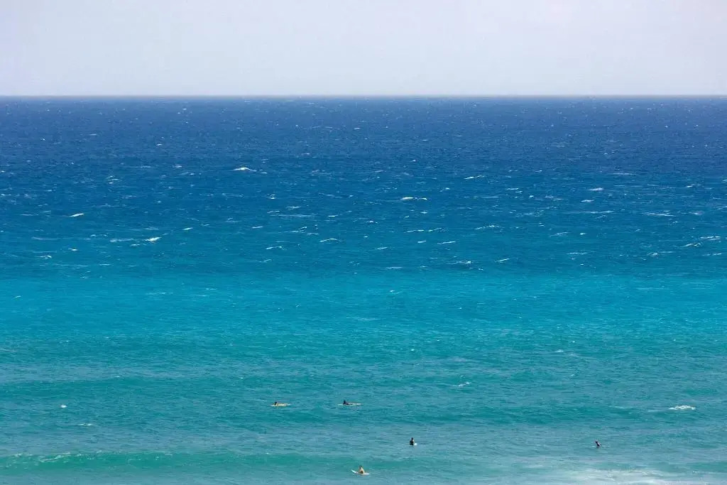 Foto - Lotus Honolulu at Diamond Head