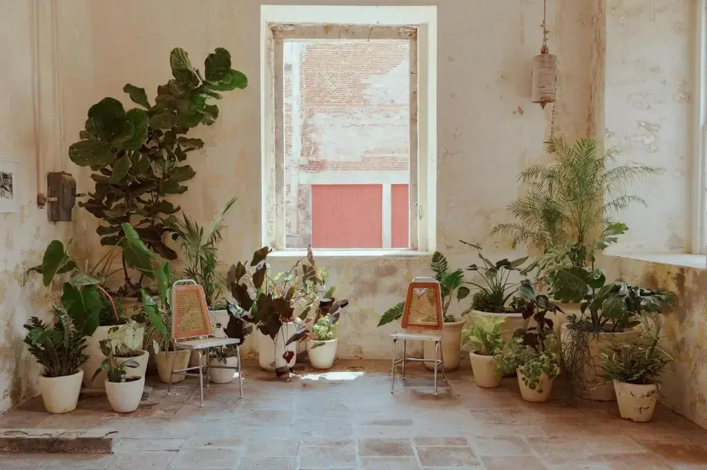 Foto - Hotel Hércules