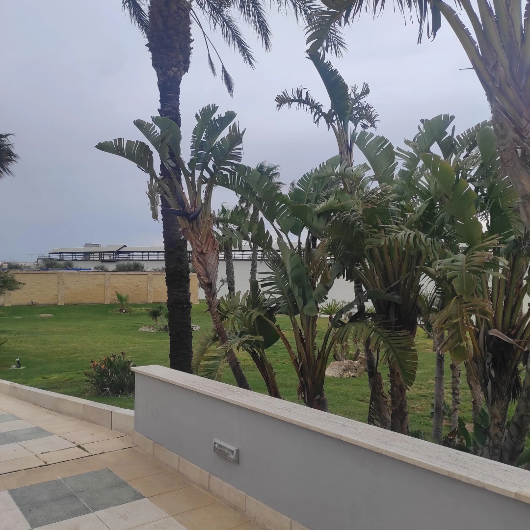 Photo - Best Western Hotel Nettuno