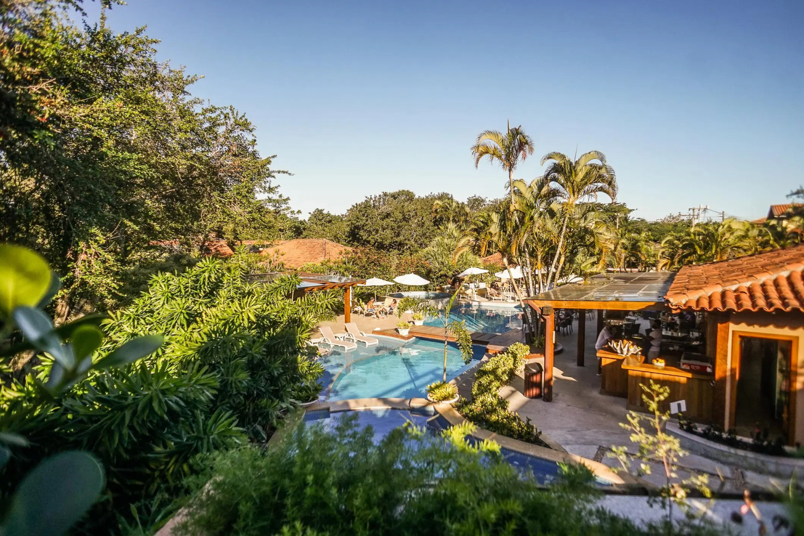 Photo - Corais e Conchas