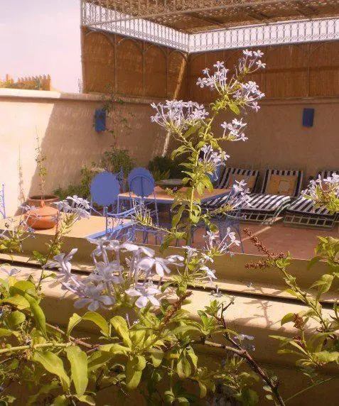 Foto - RIAD DAR En-Nawat