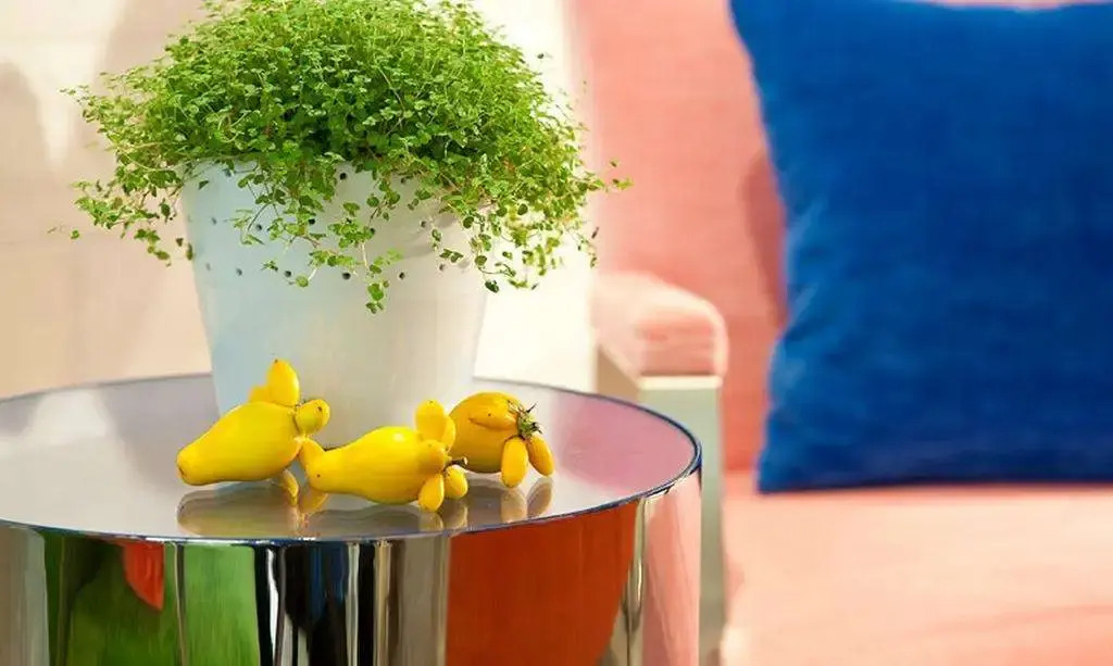 Foto - Hôtel Gabbie