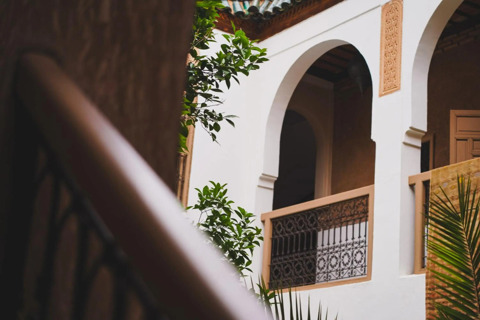 Foto - Riad Palmier