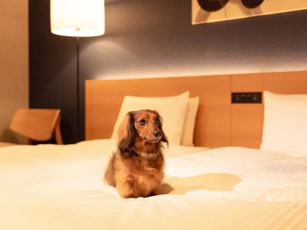 Photo - MIMARU SUITES Tokyo Asakusa