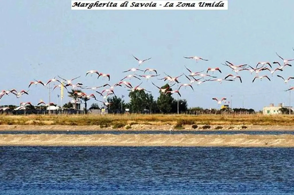 Foto - Tenuta San Francesco