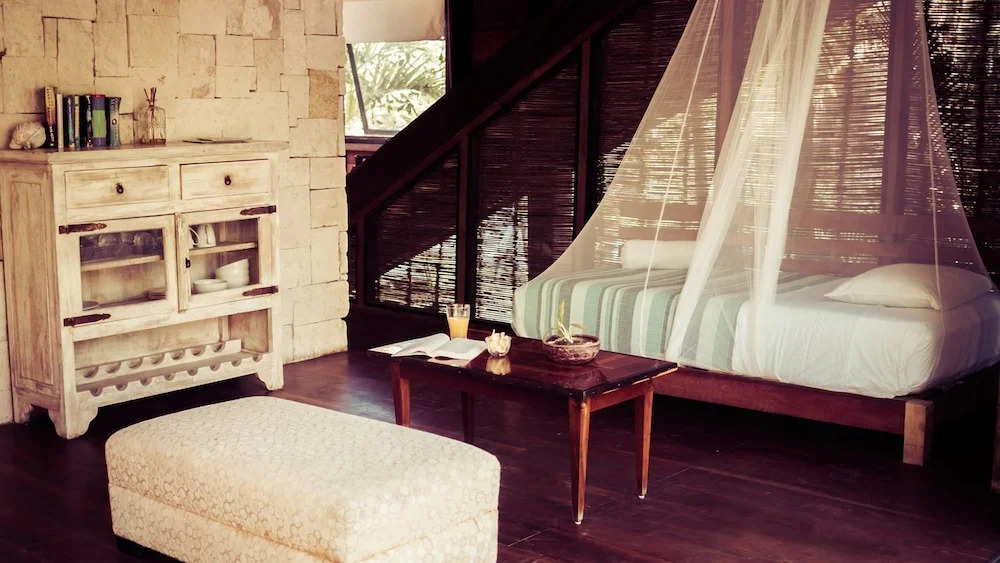 Foto - Vida Silvestre Tulum