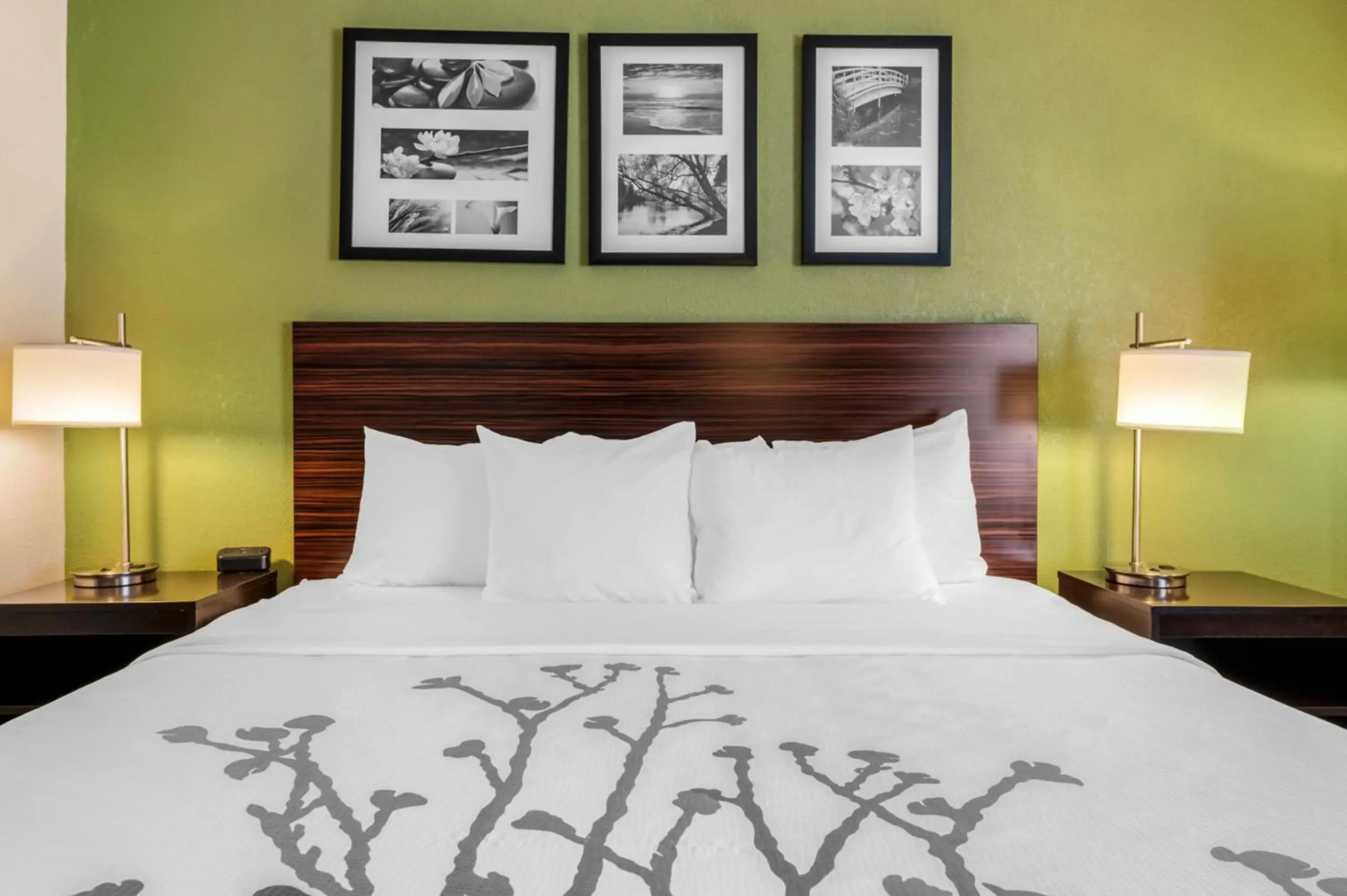 Foto - Sleep Inn Naperville - Chicago