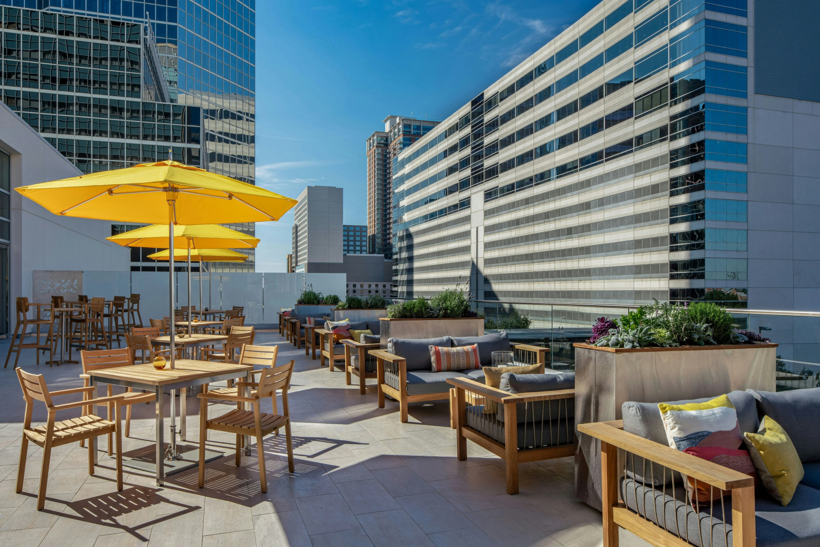Foto - The Westin Houston Medical Center/Museum District