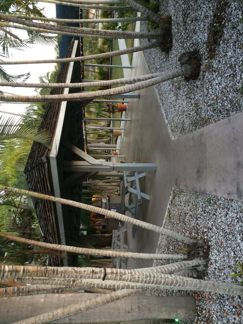 Foto - Lantern Inn & Suites - Sarasota
