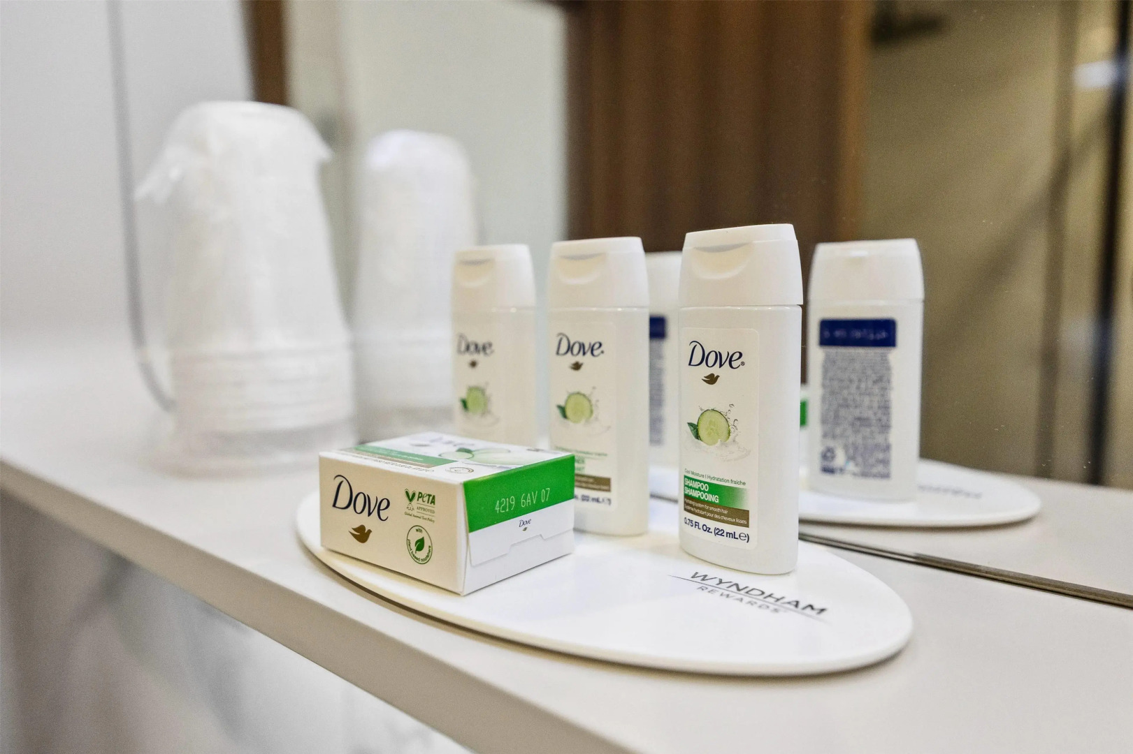 Foto - Ramada by Wyndham Flushing Queens