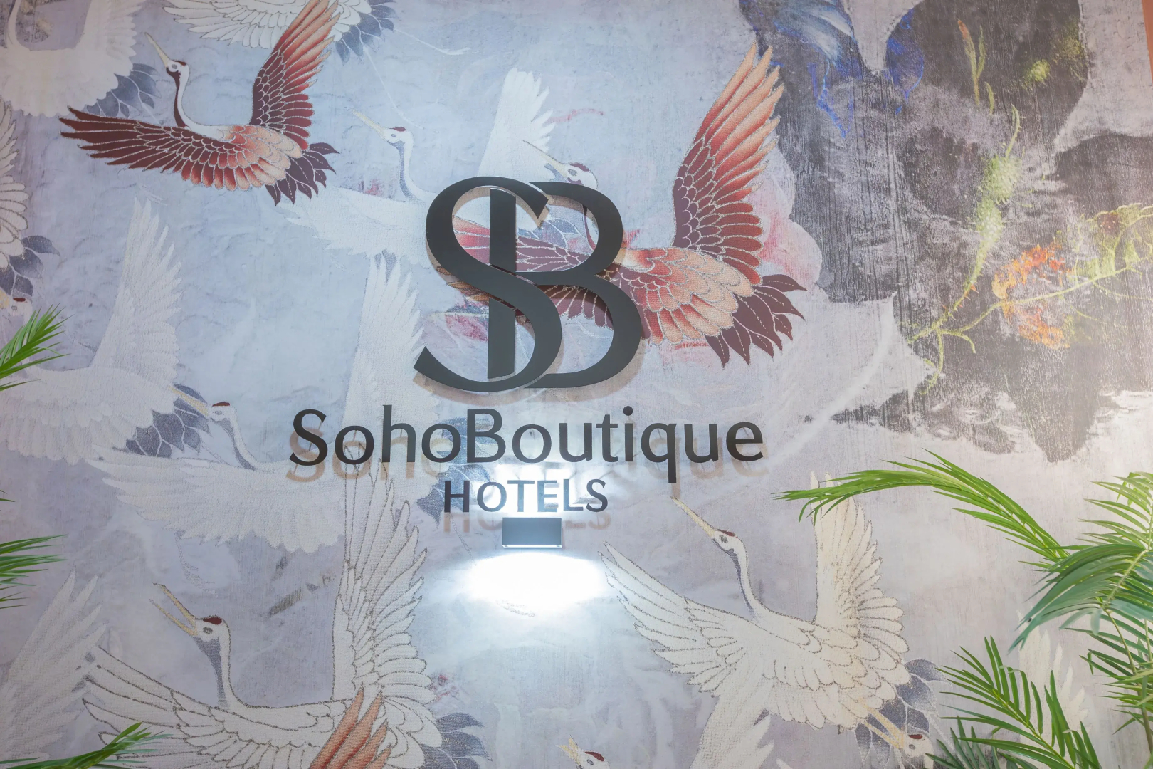 Foto - Soho Boutique Cádiz
