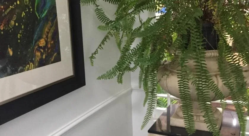 Foto - Art Hotel on York