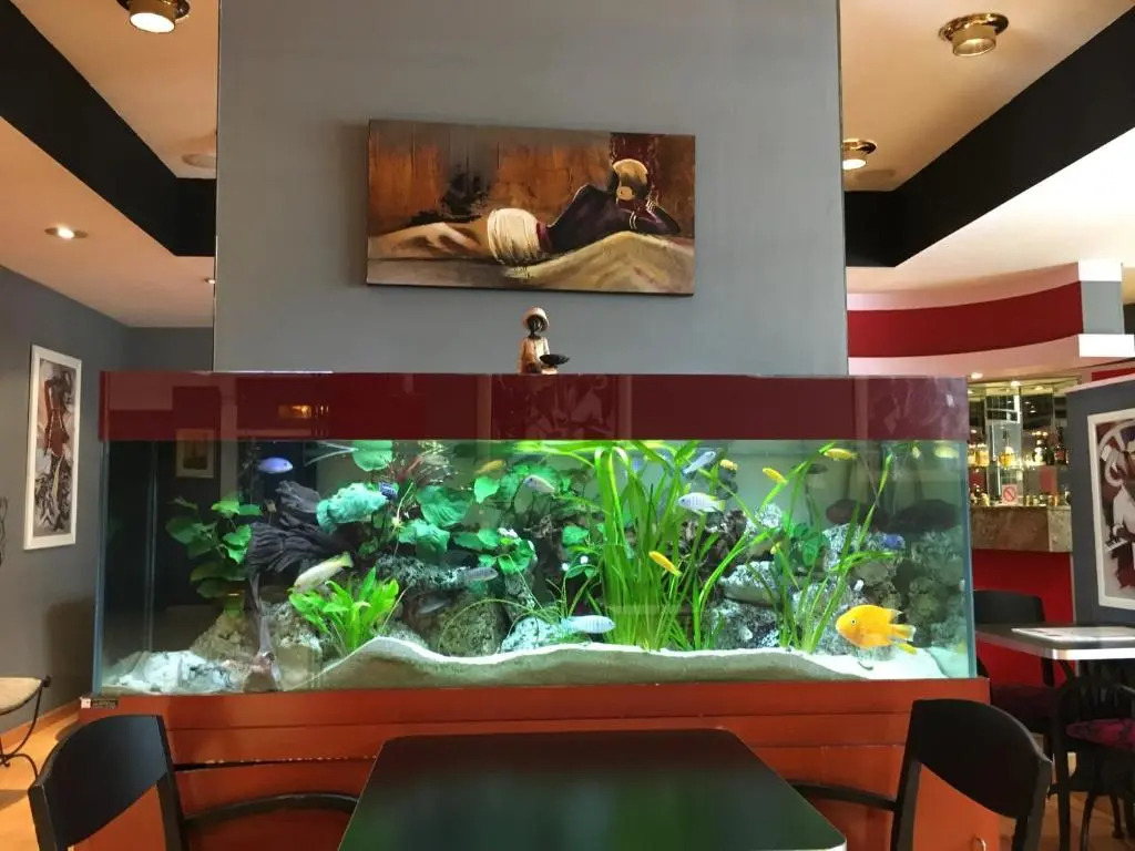 Foto - First Euroflat Hotel