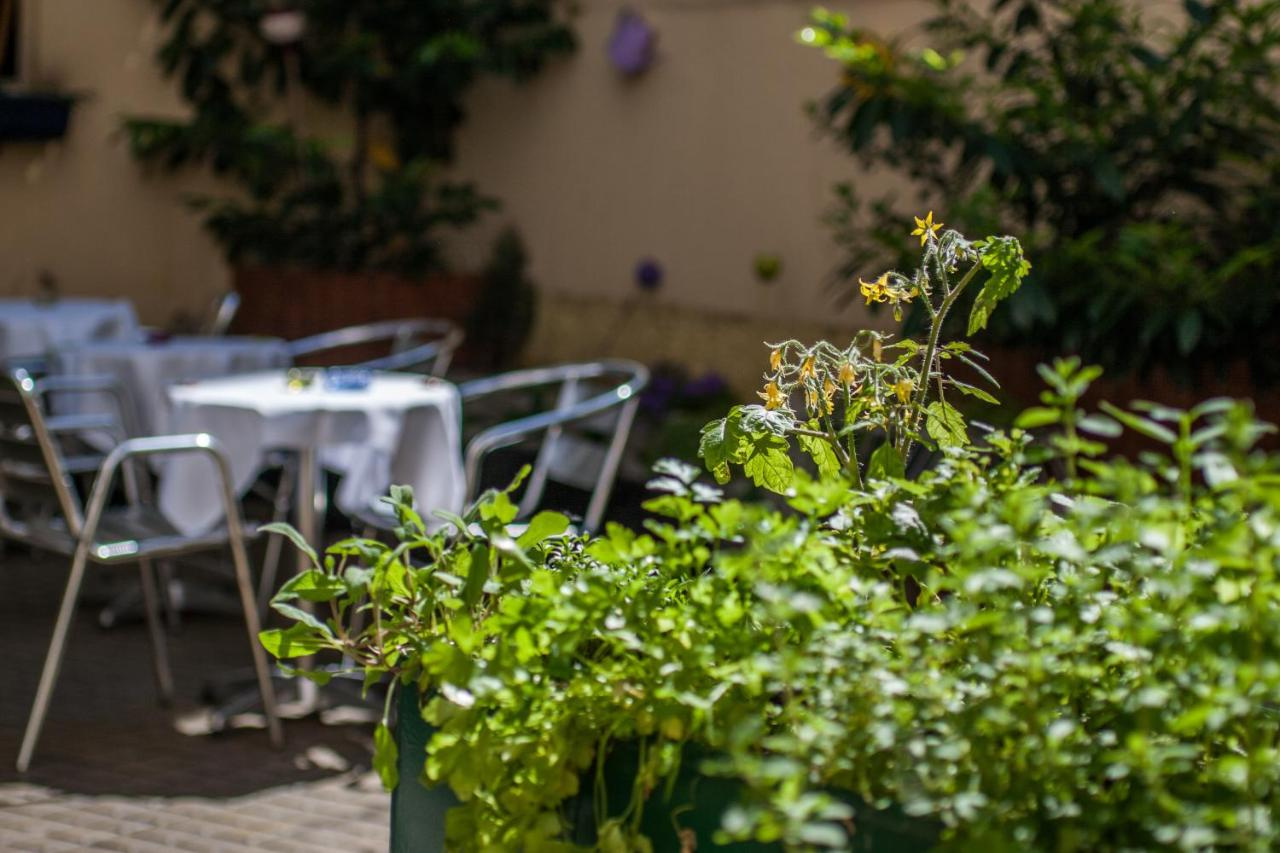 Foto - Boutique Hotel Donauwalzer