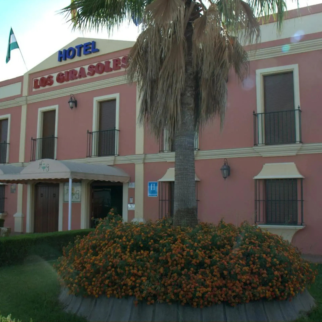 Photo - Hotel Los Girasoles
