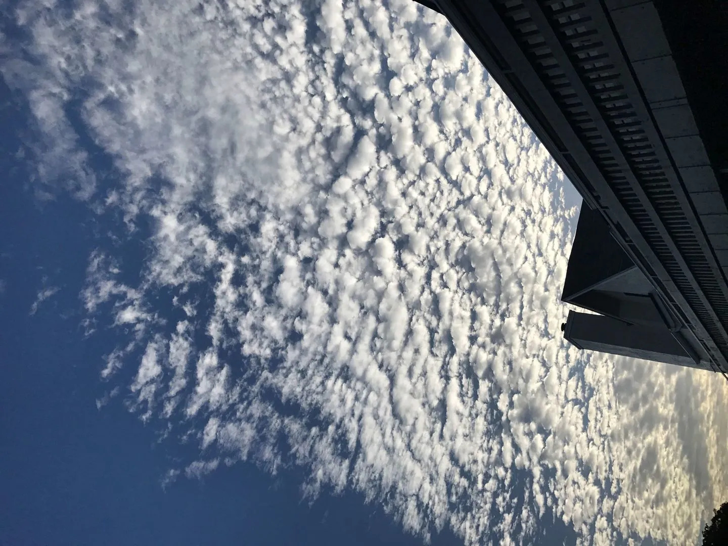 Foto - Doral Inn & Suites Miami Airport West