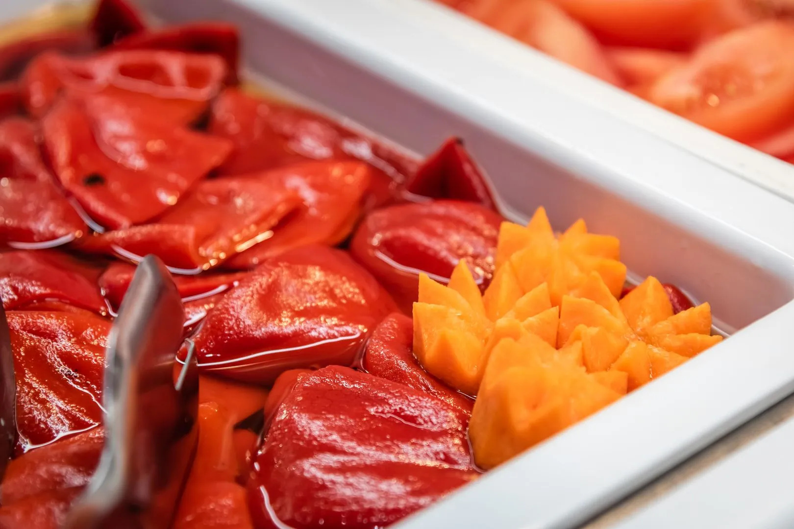 Foto - ALEGRIA President