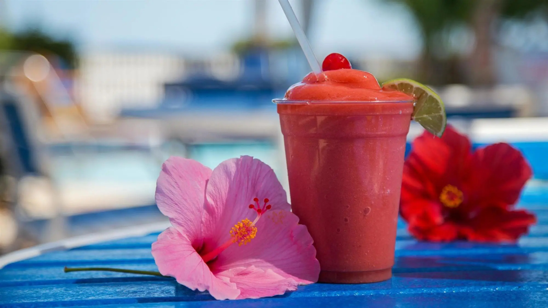 Foto - Hampton Inn Key West FL