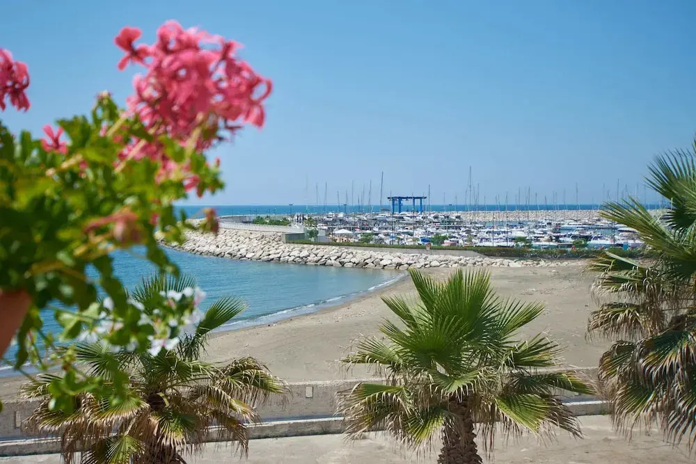 Photo - Saint Joseph