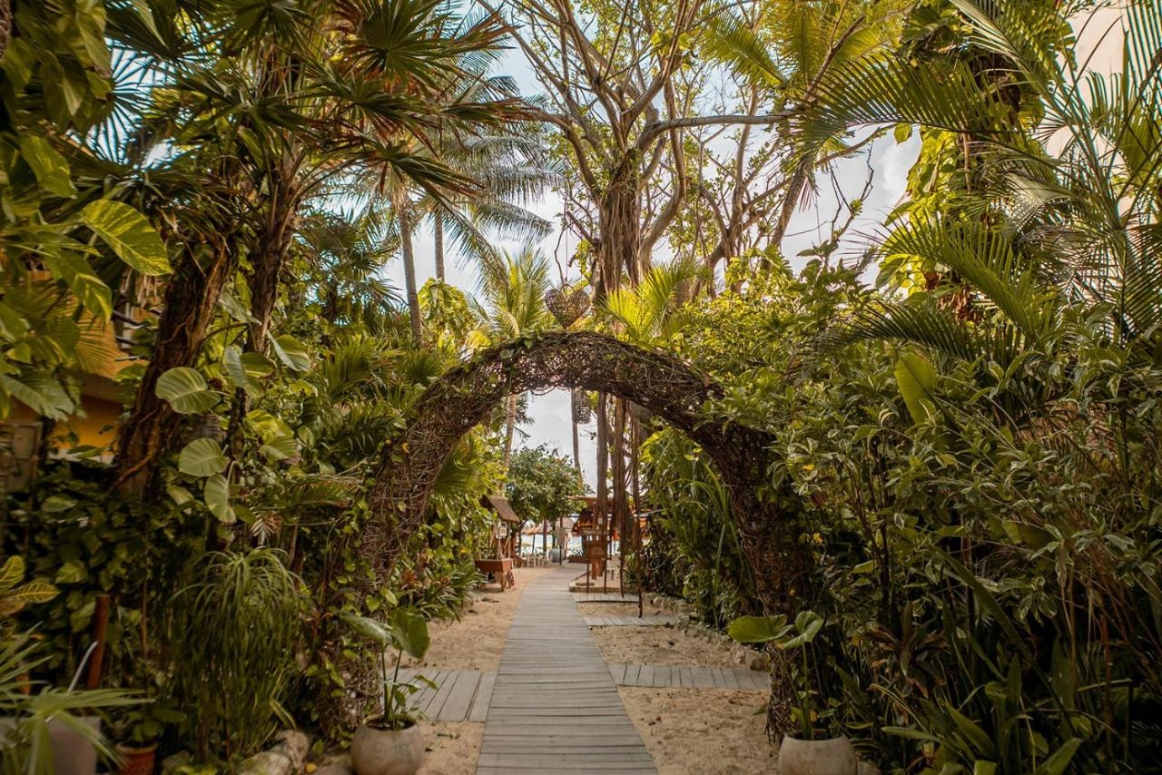 Foto - Hotel Casa Colibri