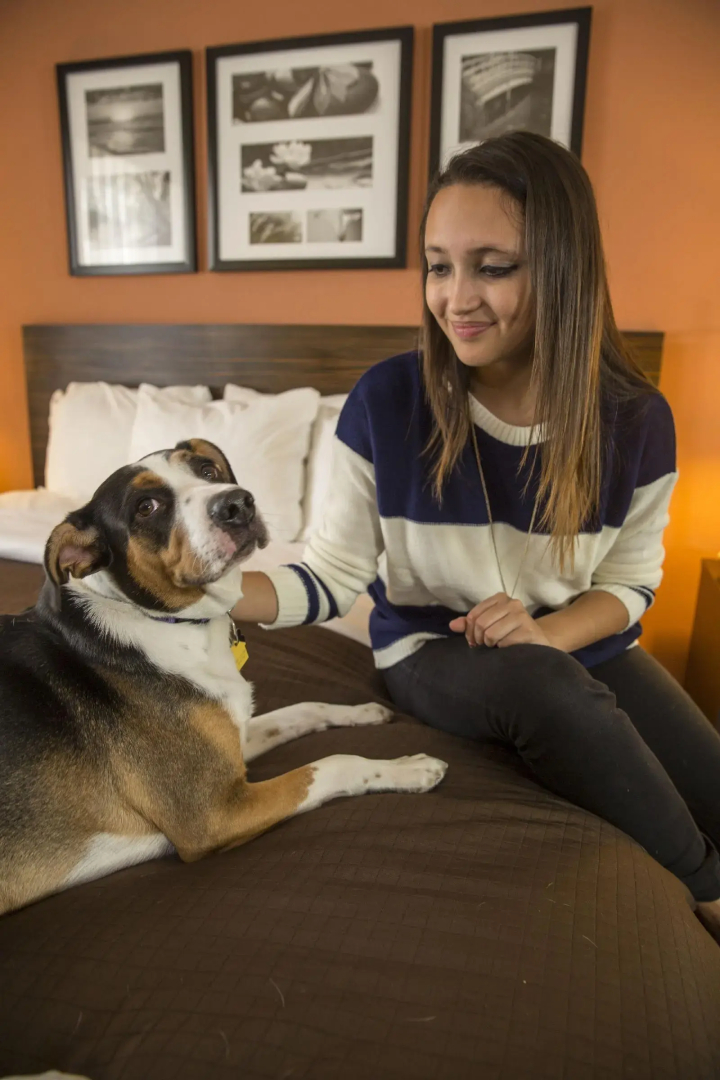 Foto - Sleep Inn & Suites - Austin Northeast