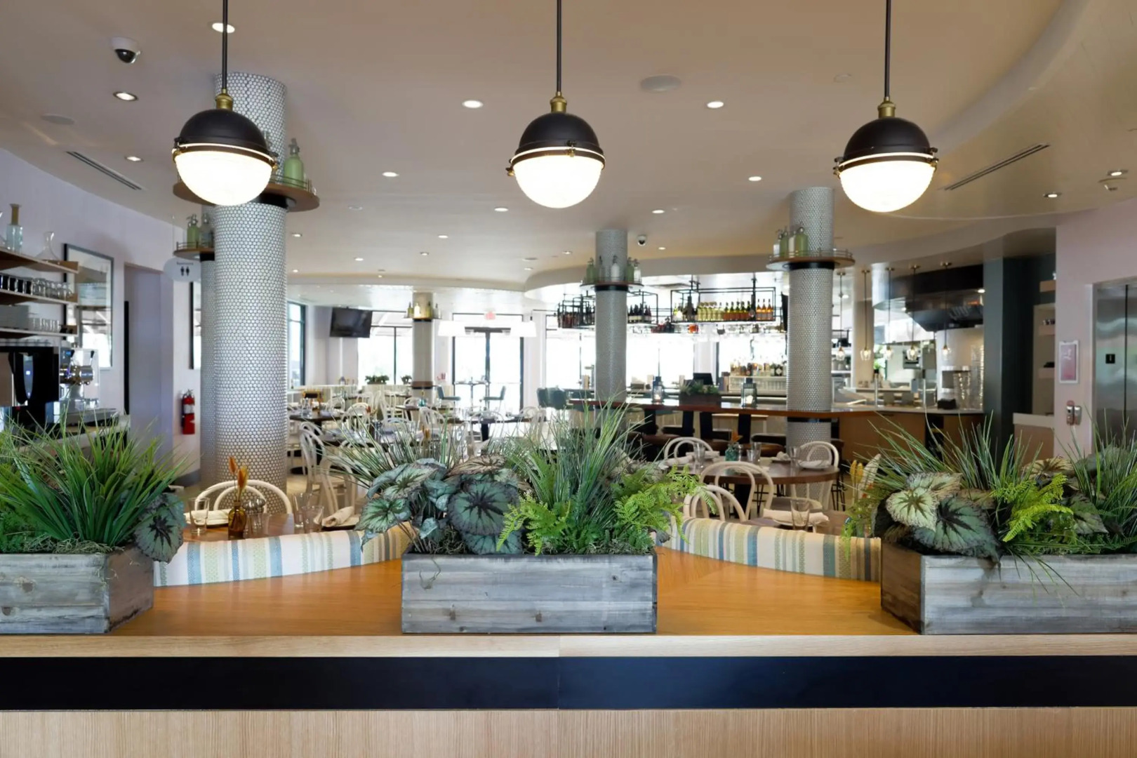 Foto - Meliá Orlando Celebration