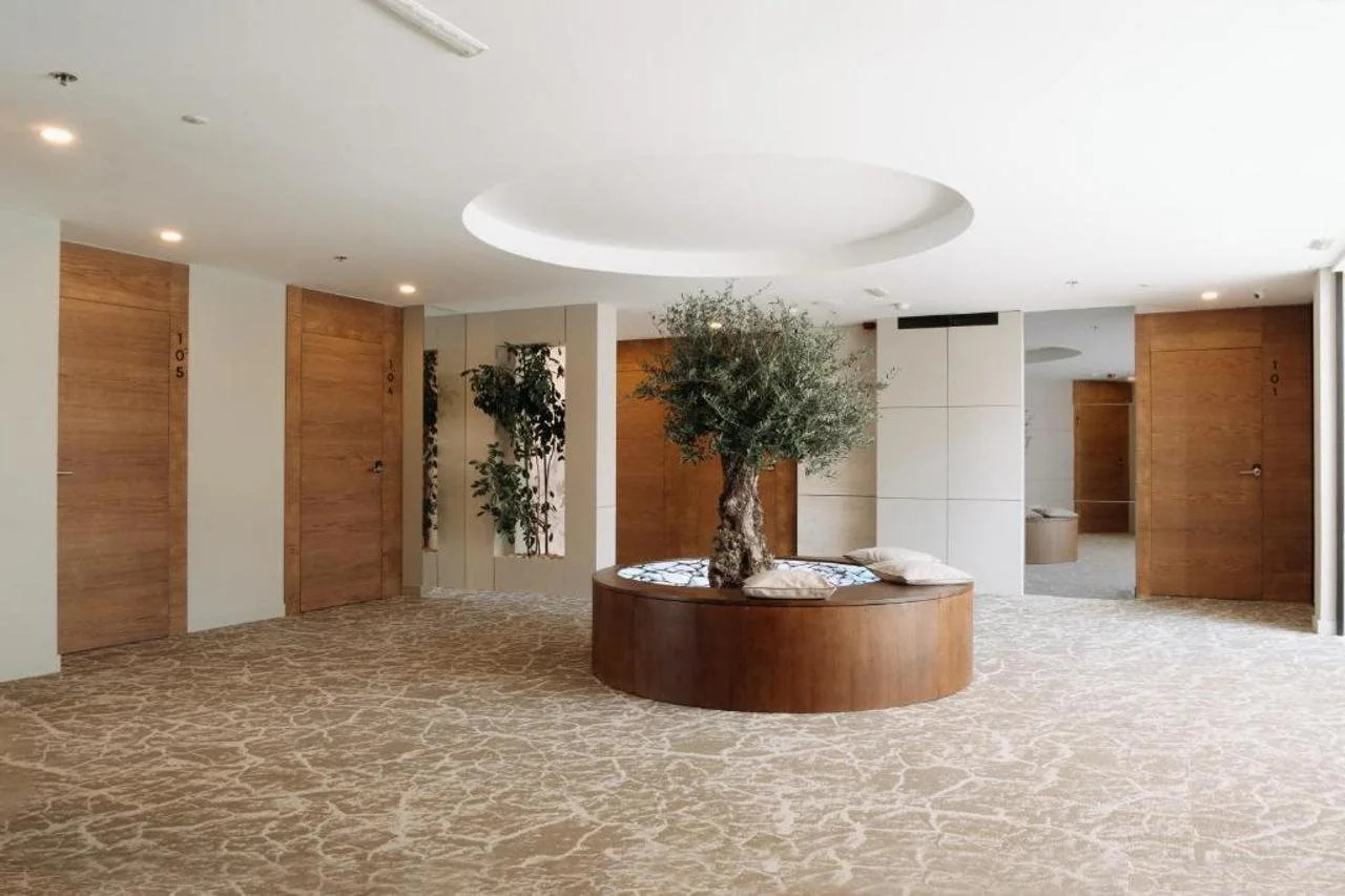 Foto - Hotel Olivier