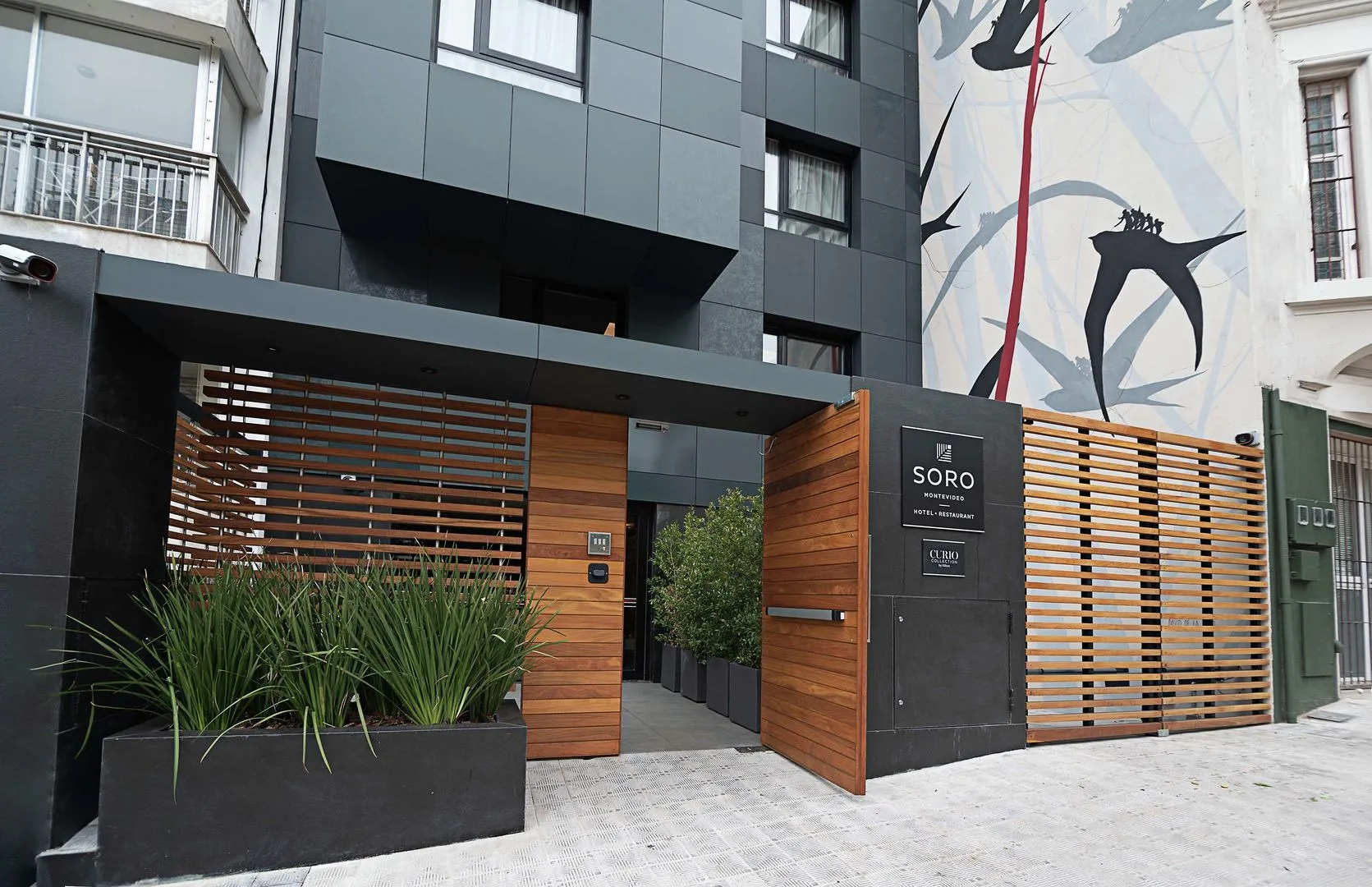 Foto - Soro Montevideo, Curio Collection By Hilton