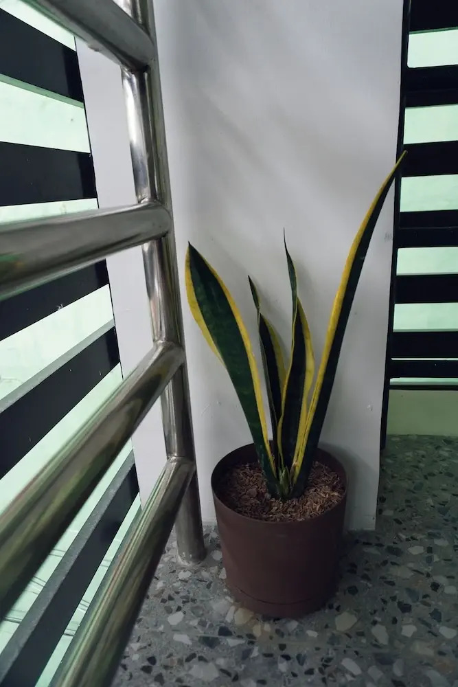 Foto - Cebu Backpackers Hostel