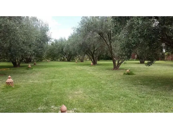 Photo - Riad Sidi Hicham