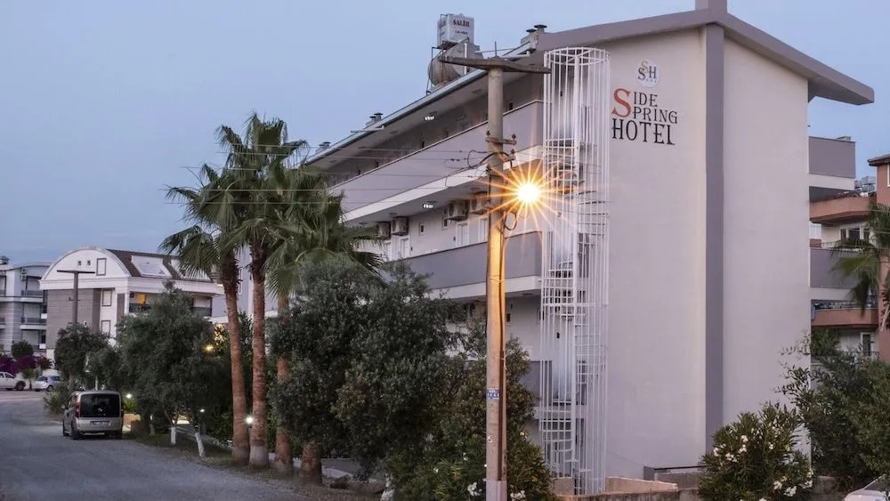 Foto - Si̇de Spri̇ng