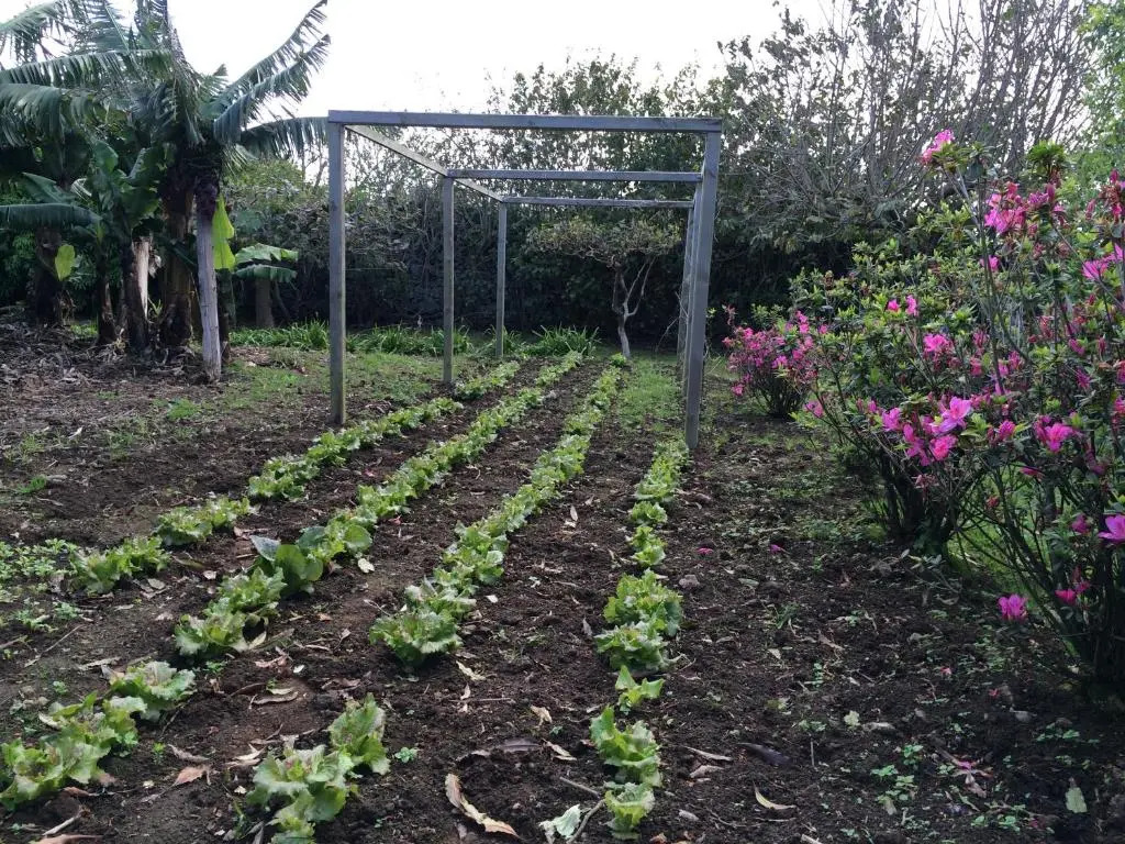 Foto - Quinta de Santa Clara