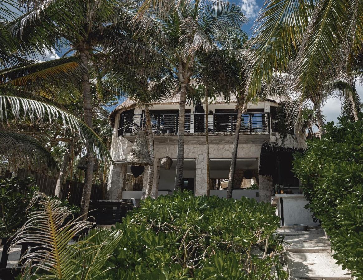 Foto - Nest Tulum