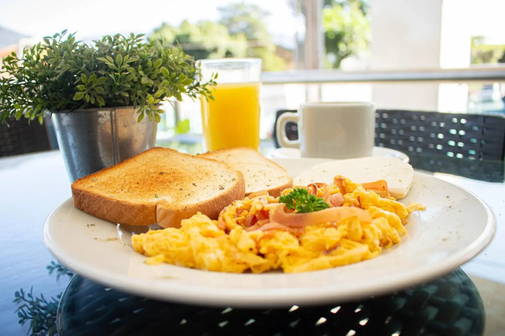 Foto - Hotel Central Plaza Medellin