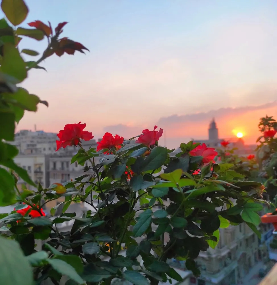 Photo - Cairo House Hostel