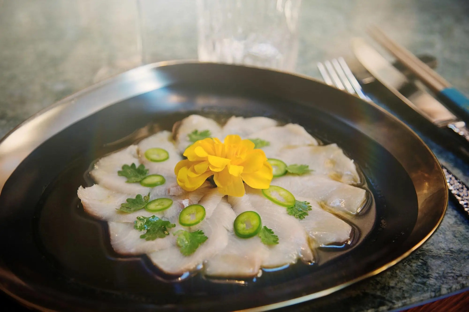 Photo - TORTUE Hamburg