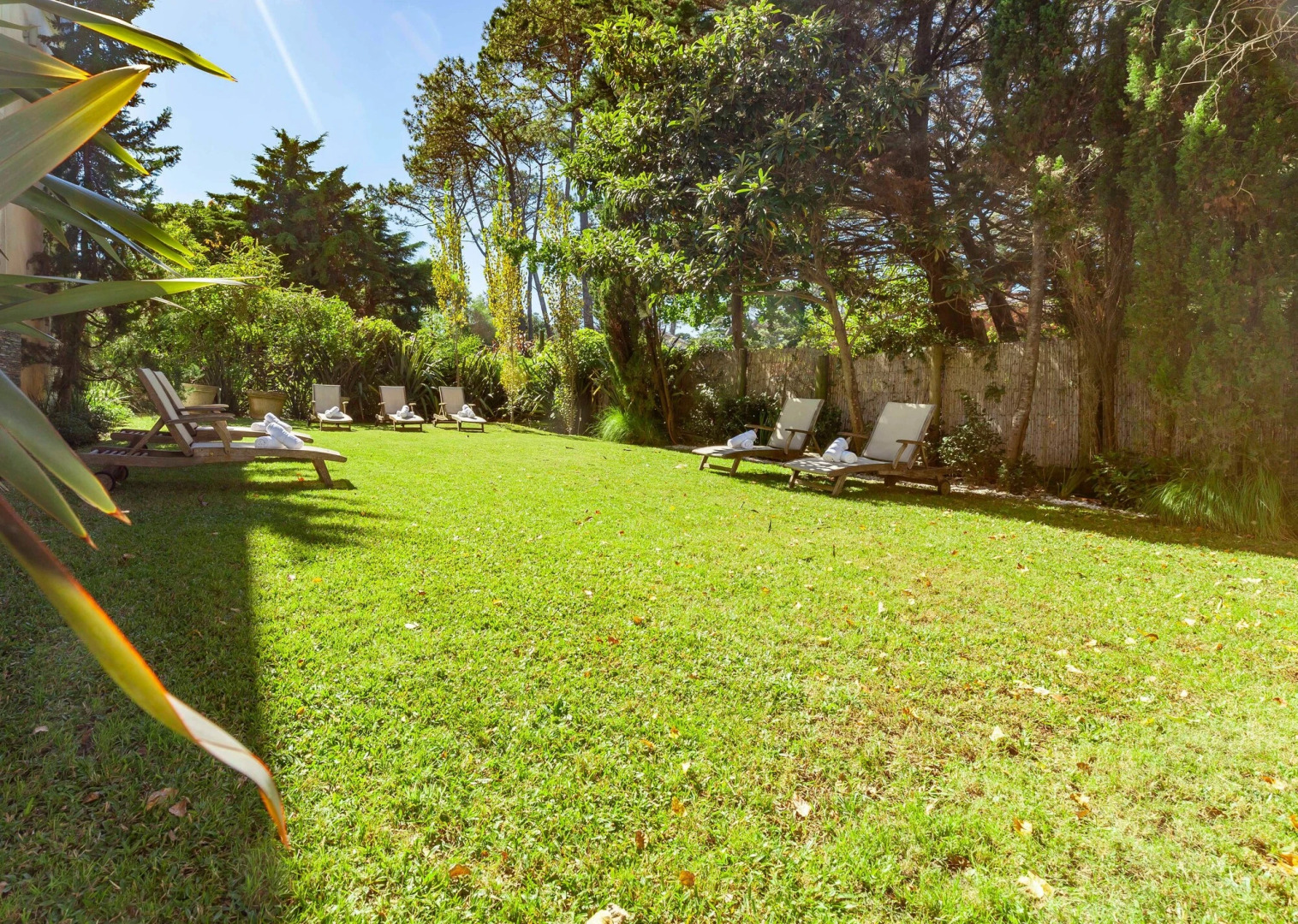 Photo - AWA Boutique + Design Hotel