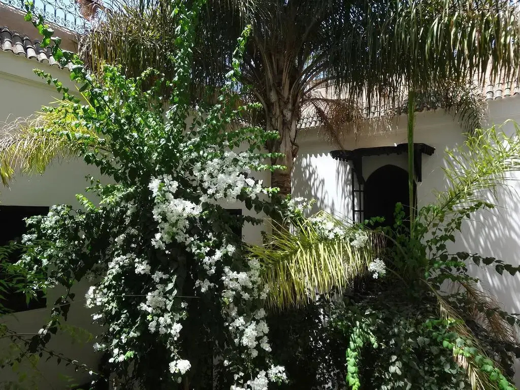 Foto - Riad Dar Jaguar