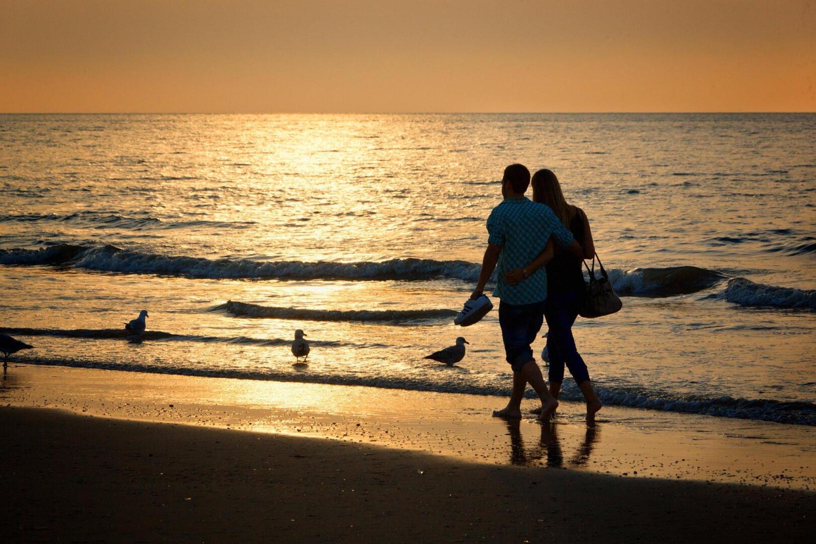 Foto - Hilton The Hague