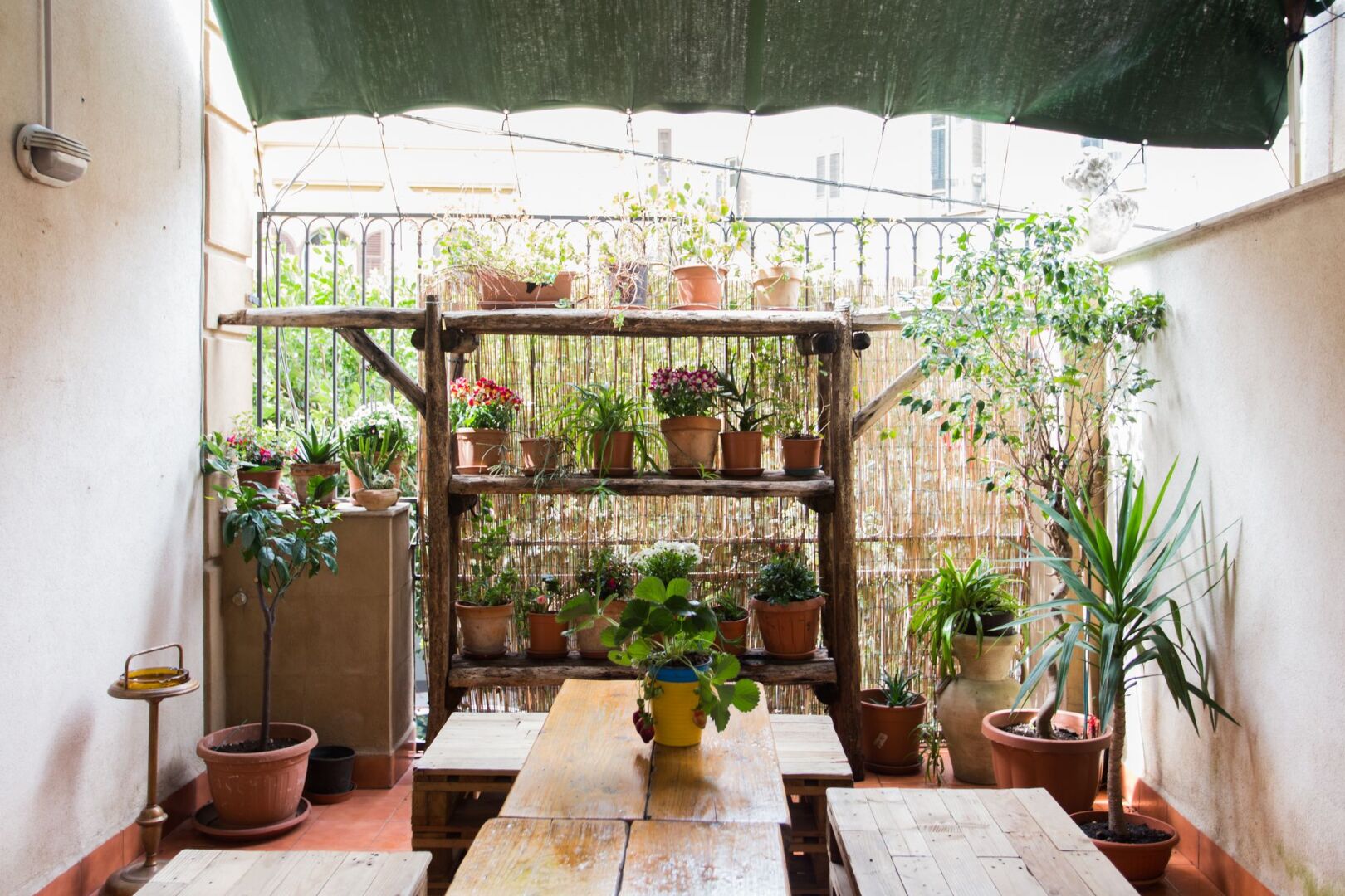 Foto - A Casa di Amici