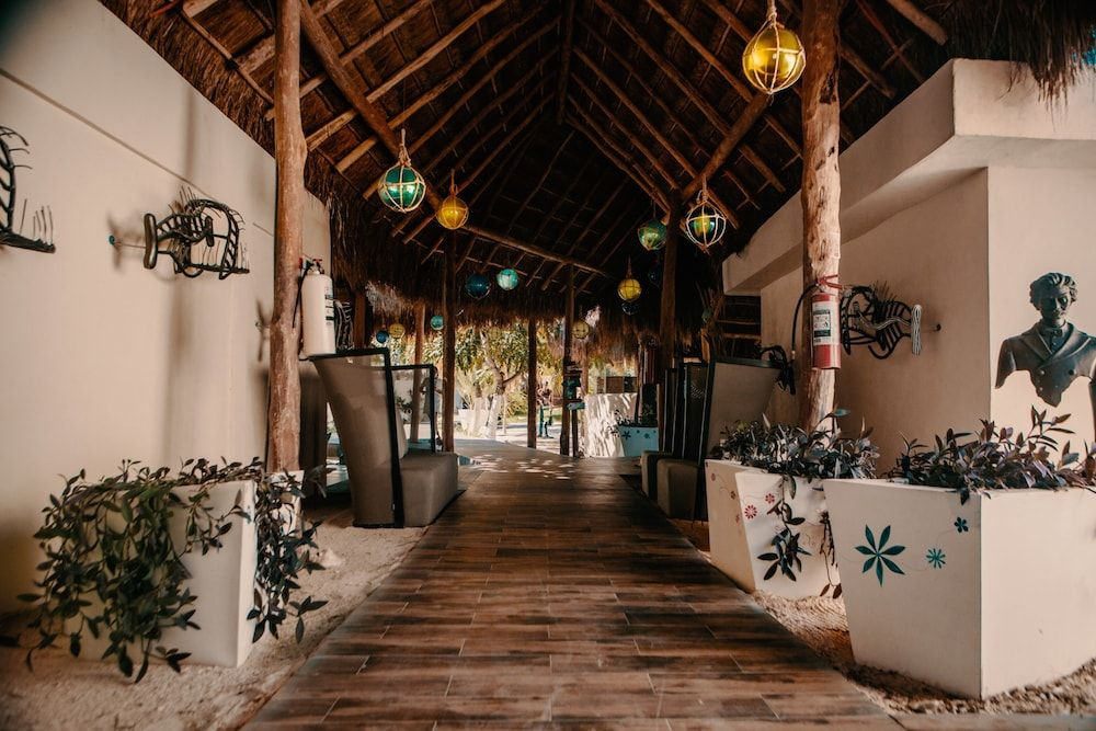 Foto - Hotel Paradise Suites