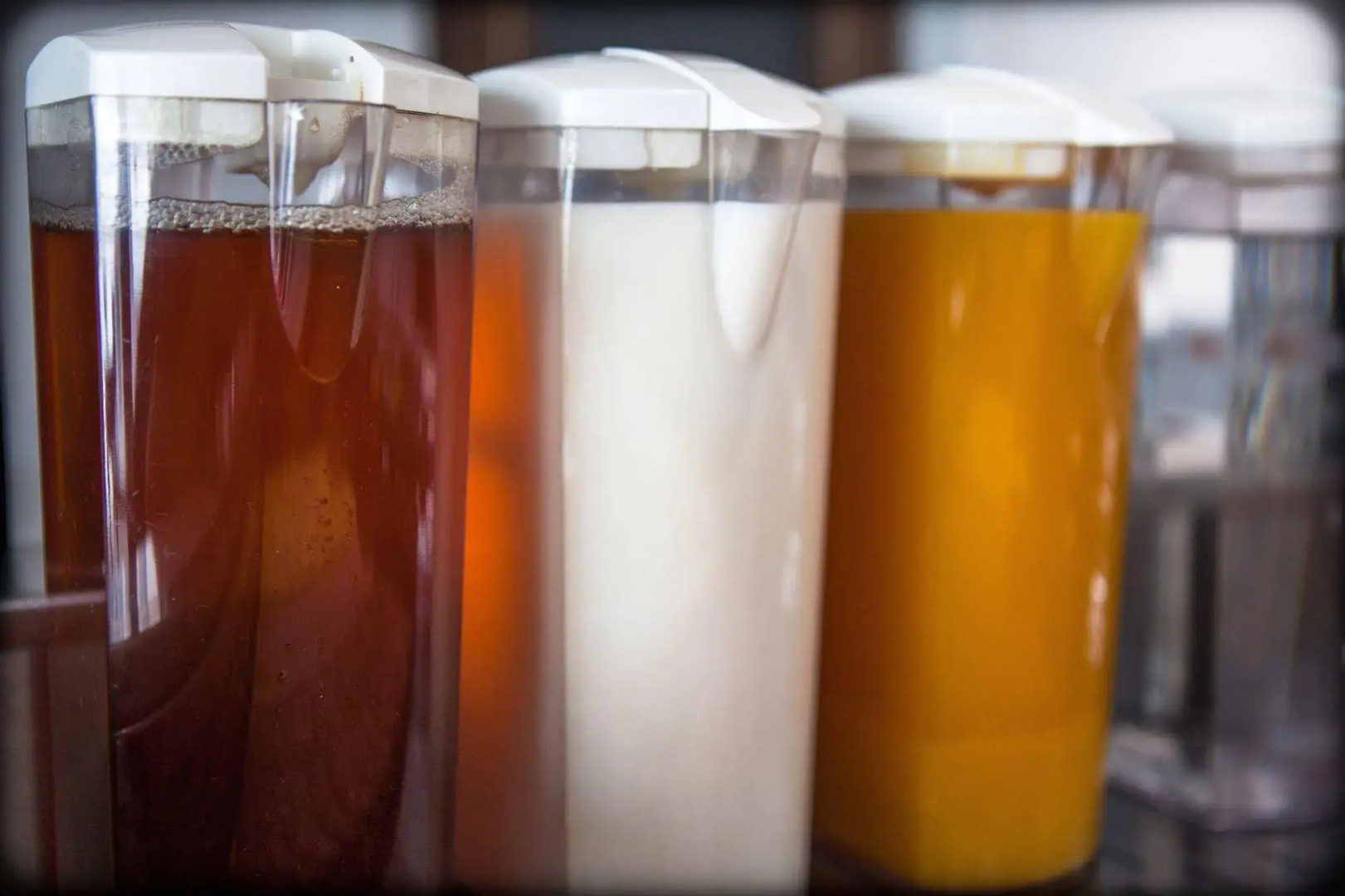 Foto - The W14 Kensington